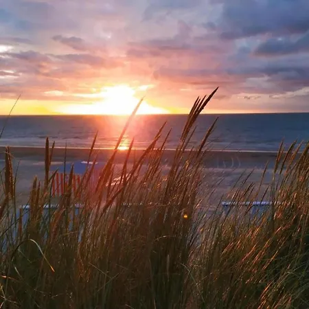 Manderley 204 Directly On The Dunes Apartamento Oostduinkerke
